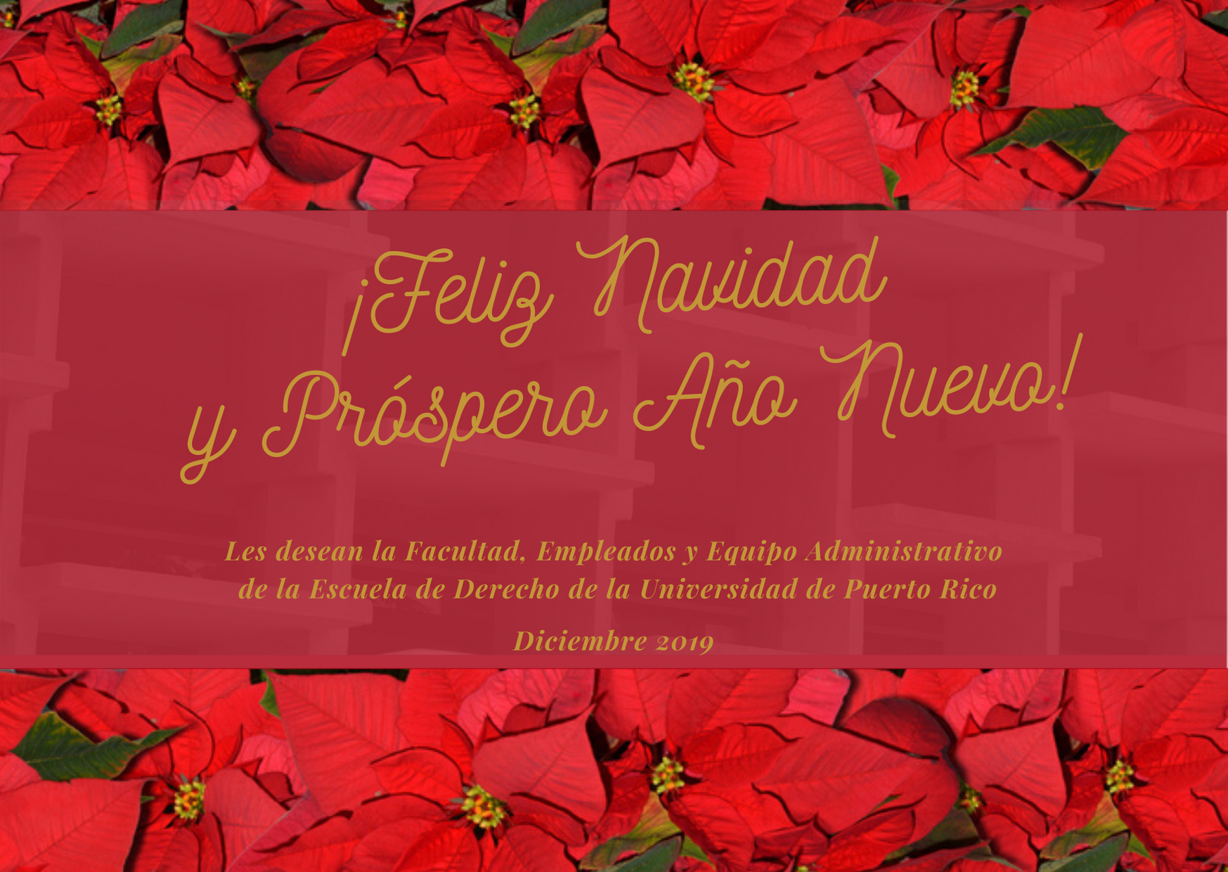 ¡Feliz Navidad y Próspero Año Nuevo!