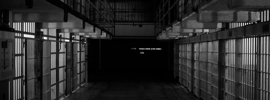 El Proyecto del Senado 530: la expansión del castigo y el desvío del mandato rehabilitador en el Derecho Penal puertorriqueño