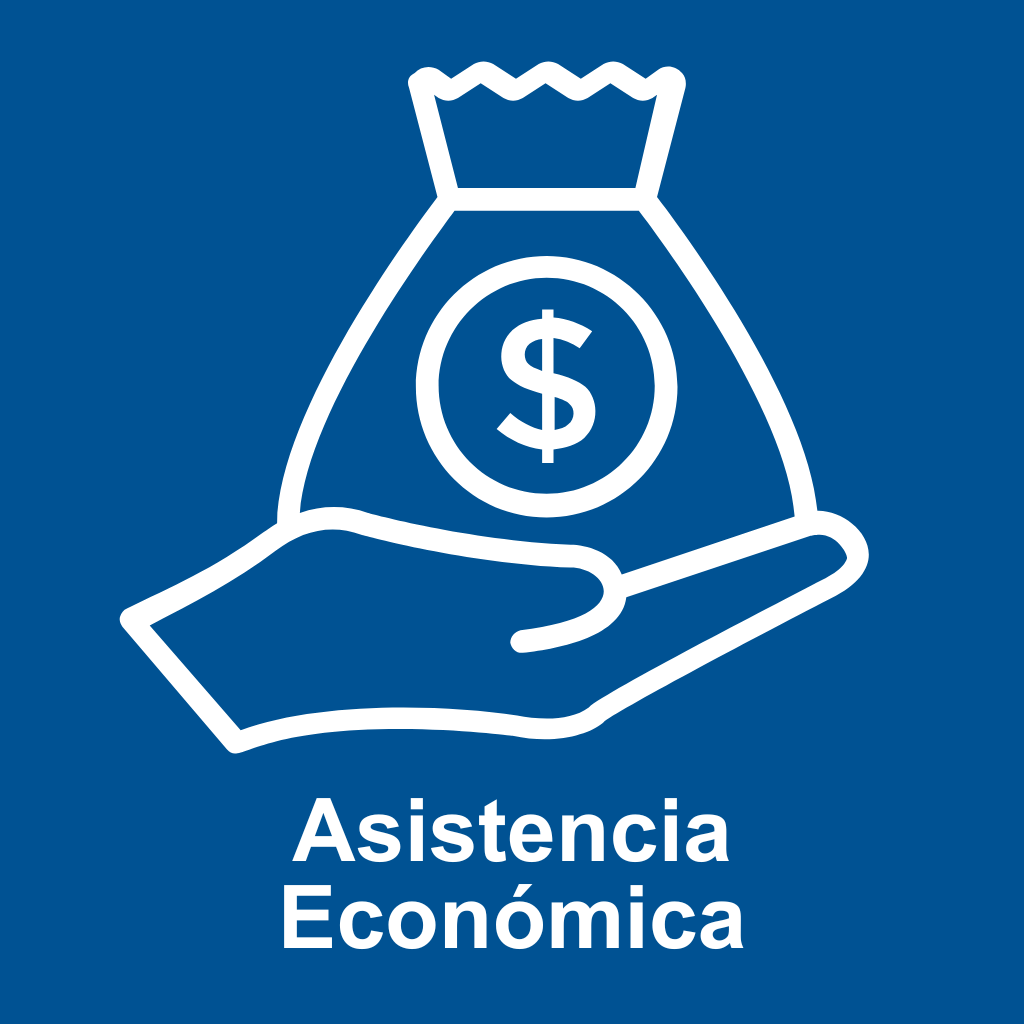 Icono Asistencia Económica Programa PLUS