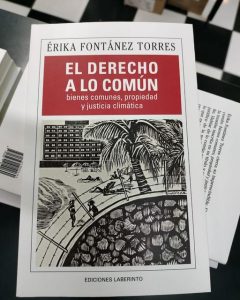 Profa. Érika Fontánez Torres Publica Su Nuevo Libro: El Derecho A Lo ...